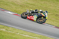 Sepang;event-digital-images;motorbikes;no-limits;peter-wileman-photography;trackday;trackday-digital-images